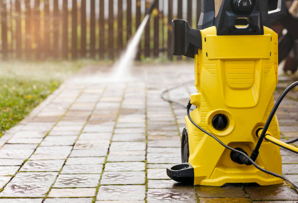 Best Gutter Cleaning  in Elmont, NY